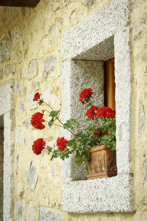 Agritur Manoncin Villa Daone Exterior photo